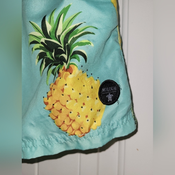 Molokai pineapples and slices mens tropical swimming trunks size large NWOT - Picture 2 of 6